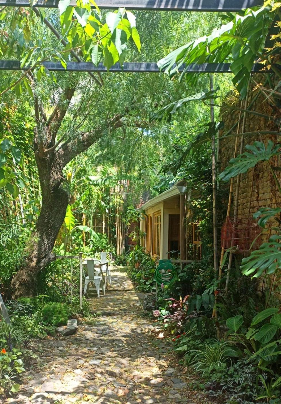 Colonia Suite Apartments Colonia del Sacramento Kültér fotó